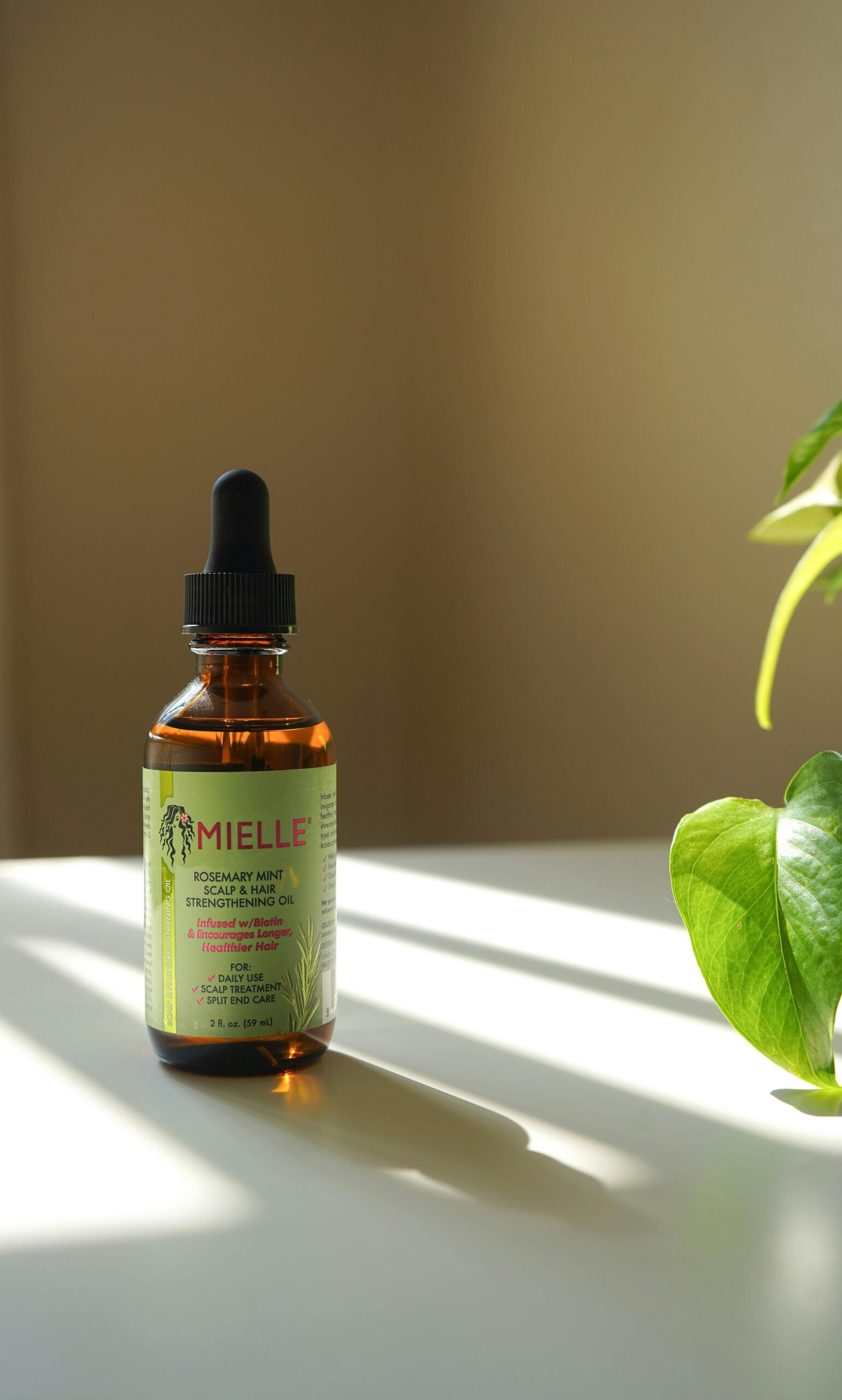 Amber glass bottle of essential oil with plant, sunlight casts shadows indoors.